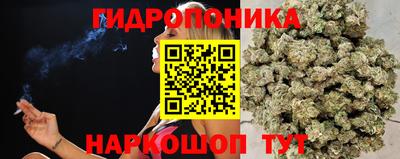 spice Малоярославец